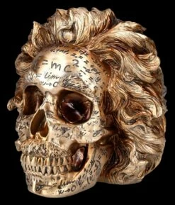 NEMESIS NOW Totenkopf Figur - Einstein Relativitätstheorie -FIGUREN Verkäufe 2D FS25377 Totenkopf Figur Einsteins Relativit tstherorie 6 1280x1280