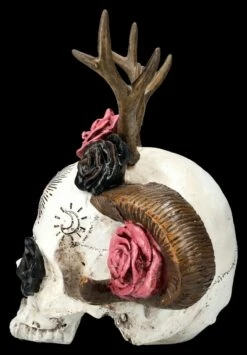 Totenkopf Figur - Wicca Schädel Mit Geweih 13 Totenkopf Figur - Wicca Schädel Mit Geweih -FIGUREN Verkäufe 2D FS25463 Totenkopf Figur Wicca Sch del mit Geweih 2 1280x1280