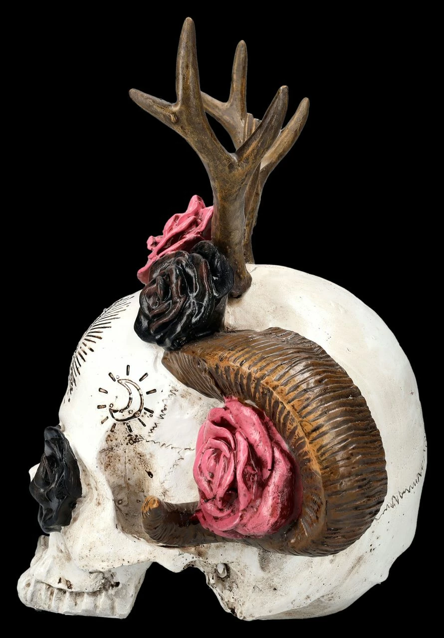 Totenkopf Figur - Wicca Schädel Mit Geweih 6 Totenkopf Figur - Wicca Schädel Mit Geweih – Bild 4