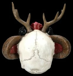 Totenkopf Figur - Wicca Schädel Mit Geweih 14 Totenkopf Figur - Wicca Schädel Mit Geweih -FIGUREN Verkäufe 2D FS25463 Totenkopf Figur Wicca Sch del mit Geweih 3 1280x1280