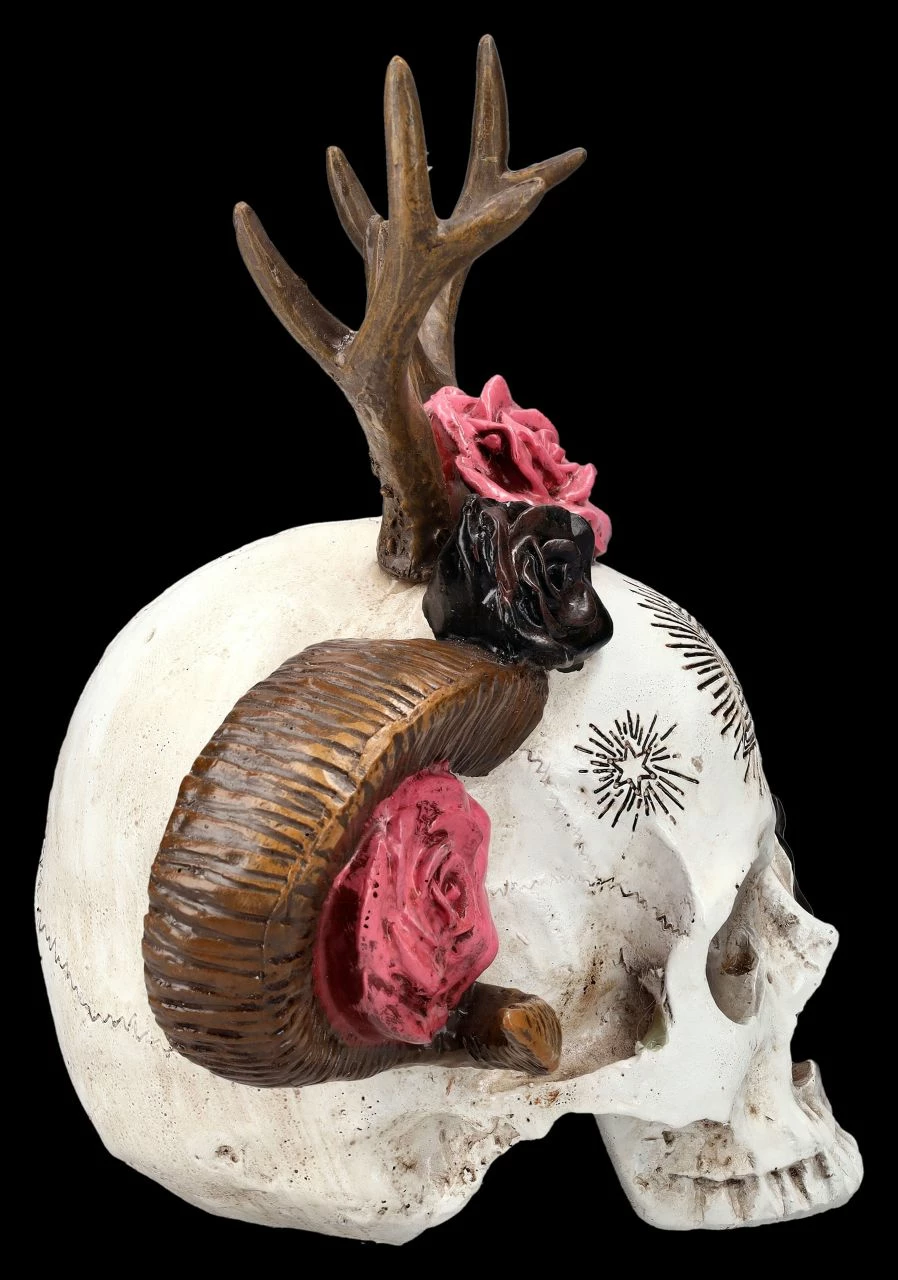 Totenkopf Figur - Wicca Schädel Mit Geweih 8 Totenkopf Figur - Wicca Schädel Mit Geweih – Bild 6