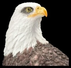 Adler Figur - Amerikanischer Weißkopfseeadler -FIGUREN Verkäufe 2D FS25794 Adler Figur Amerikanischer Weisskopfseeadler 2 1280x1280