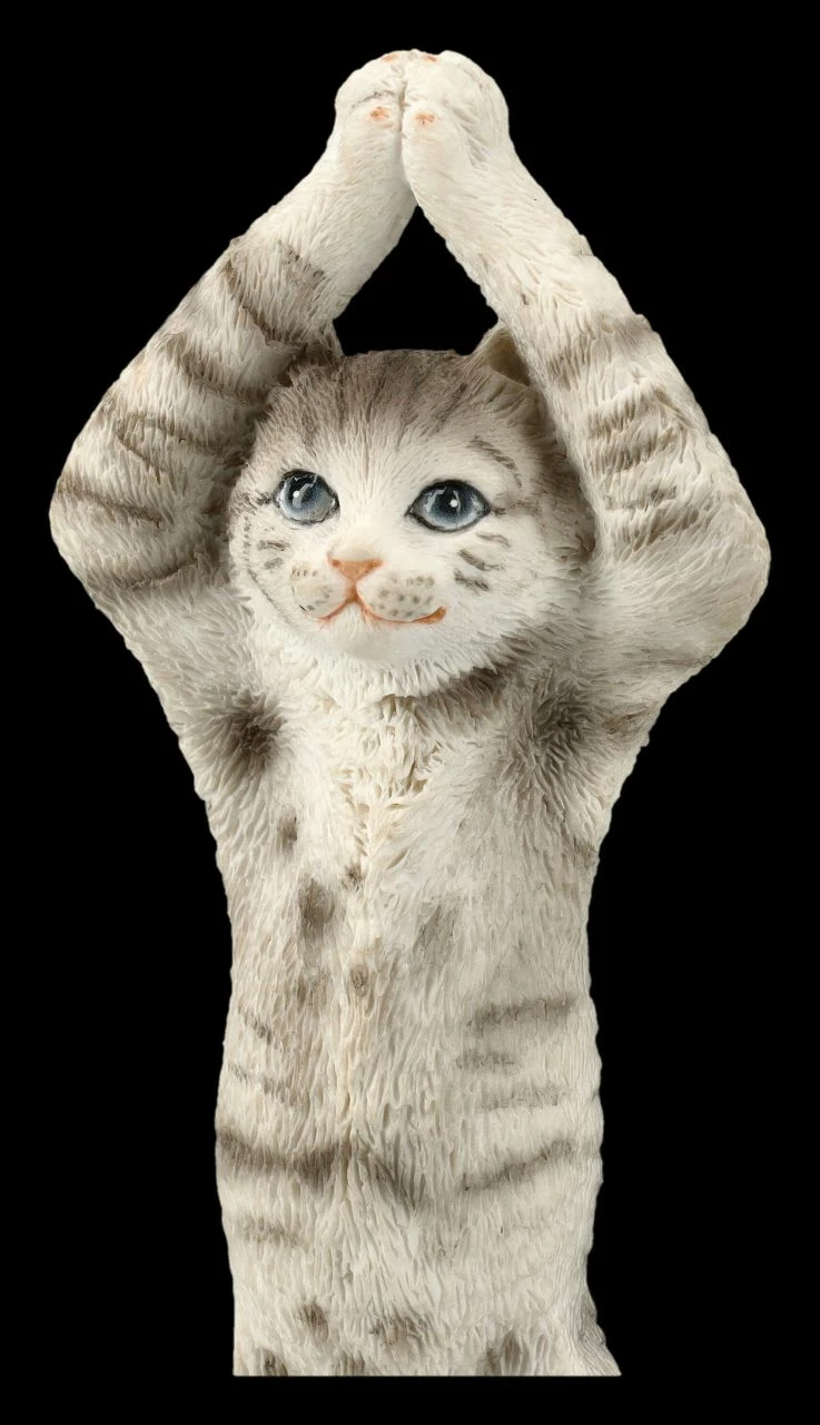 Katzen Figur Beim Yoga - Baumstellung 9 Katzen Figur Beim Yoga - Baumstellung – Bild 7