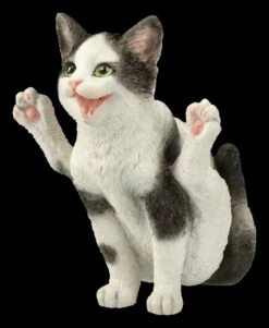 Katzen Figur Beim Yoga - Feuerfliege 14 Katzen Figur Beim Yoga - Feuerfliege -FIGUREN Verkäufe 2D FS26069 Katzen Figur beim Yoga Feuerfliege 7 1280x1280