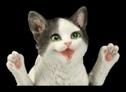 Katzen Figur Beim Yoga - Feuerfliege 15 Katzen Figur Beim Yoga - Feuerfliege -FIGUREN Verkäufe 2D FS26069 Katzen Figur beim Yoga Feuerfliege 8 1280x1280