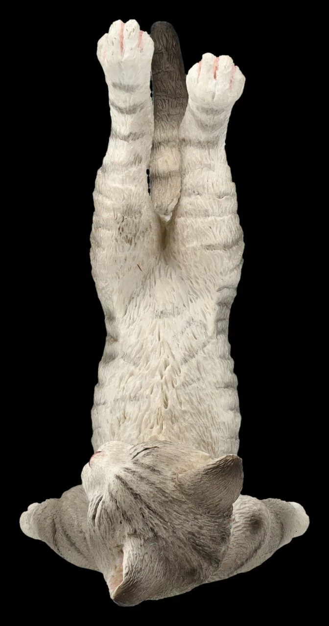 Katzen Figur Beim Yoga - Schulterstand 6 Katzen Figur Beim Yoga - Schulterstand – Bild 4