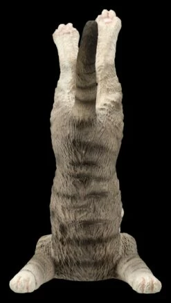 Katzen Figur Beim Yoga - Schulterstand 14 Katzen Figur Beim Yoga - Schulterstand -FIGUREN Verkäufe 2D FS26070 Katzen Figur beim Yoga Schulterstand 5 1280x1280