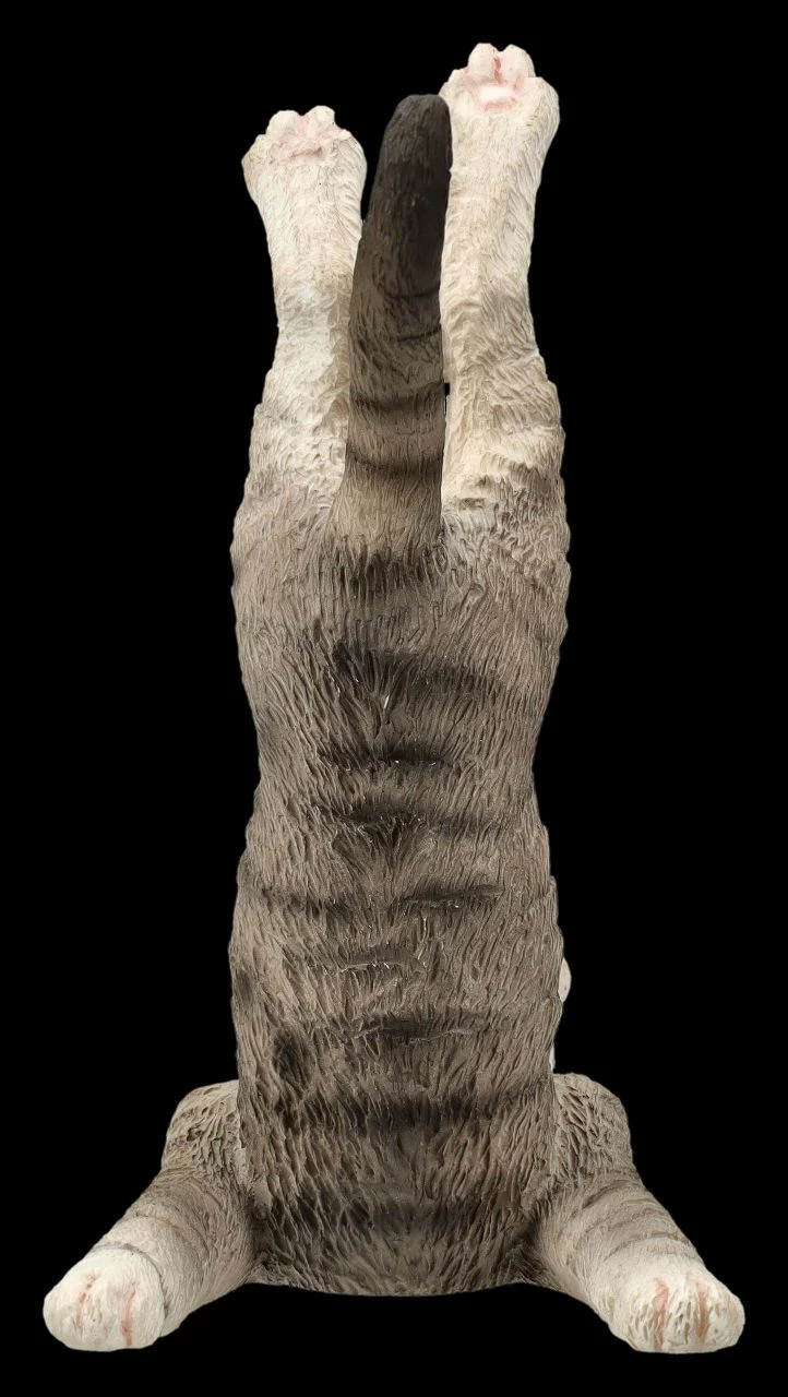 Katzen Figur Beim Yoga - Schulterstand 8 Katzen Figur Beim Yoga - Schulterstand – Bild 6