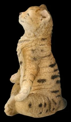 Katzen Figur Beim Yoga - Lotussitz 11 Katzen Figur Beim Yoga - Lotussitz -FIGUREN Verkäufe 2D FS26072 Kathen Figur beim Yoga Lotussitz 3 1280x1280