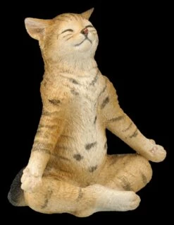 Katzen Figur Beim Yoga - Lotussitz 10 Katzen Figur Beim Yoga - Lotussitz -FIGUREN Verkäufe 2D FS26072 Kathen Figur beim Yoga Lotussitz 6 1280x1280