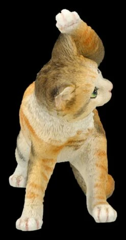 Katzen Figur Beim Yoga - Drehhaltung 13 Katzen Figur Beim Yoga - Drehhaltung -FIGUREN Verkäufe 2D FS26073 Katzen Figur beim Yoga Drehhaltung 4 1280x1280
