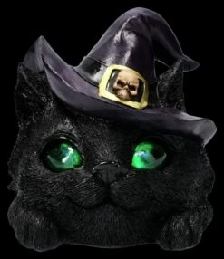 Hexenkatzen-Kopf Dekofigur - Familiar Grin 16 Hexenkatzen-Kopf Dekofigur - Familiar Grin -FIGUREN Verkäufe 2D FS26096 Hexenkatzenkopf Dekofigur LED FAmiliar Grin 8 1280x1280