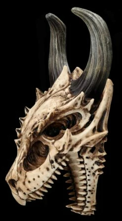 Totenkopf Wanddeko - Fieser Drachen Schädel -FIGUREN Verkäufe 2D FS26191 Totenkopf Figur Fieser Drachen Sch del 6 1280x1280