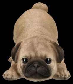 Hundefigur - Mops Welpe Will Spielen 10 Hundefigur - Mops Welpe Will Spielen -FIGUREN Verkäufe 2D FS26286 Hundefigur Mops Welpe will spielen 1 1280x1280