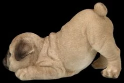 Hundefigur - Mops Welpe Will Spielen 11 Hundefigur - Mops Welpe Will Spielen -FIGUREN Verkäufe 2D FS26286 Hundefigur Mops Welpe will spielen 2 1280x1280