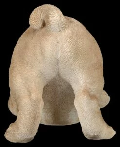 Hundefigur - Mops Welpe Will Spielen 13 Hundefigur - Mops Welpe Will Spielen -FIGUREN Verkäufe 2D FS26286 Hundefigur Mops Welpe will spielen 3 1280x1280