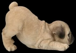 Hundefigur - Mops Welpe Will Spielen 14 Hundefigur - Mops Welpe Will Spielen -FIGUREN Verkäufe 2D FS26286 Hundefigur Mops Welpe will spielen 4 1280x1280