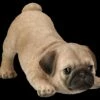 Hundefigur - Mops Welpe Will Spielen 1 Hundefigur - Mops Welpe Will Spielen -FIGUREN Verkäufe 2D FS26286 Hundefigur Mops Welpe will spielen 5 1280x1280