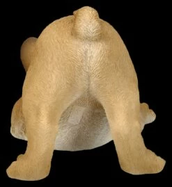 Hundefigur - Französische Bulldogge Welpe Will Spielen -FIGUREN Verkäufe 2D FS26287 Hundefigur Franz sische Bulldogge Welpe will spielen 3 1280x1280