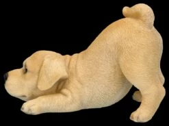 Hundefigur - Labrador Welpe Will Spielen 13 Hundefigur - Labrador Welpe Will Spielen -FIGUREN Verkäufe 2D FS26288 Hundefigur Labrador WElpe will spielen 2 1280x1280