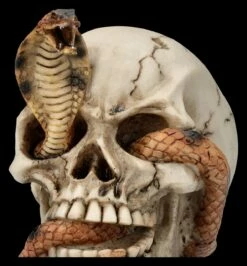 Totenkopf Figur - Kobra Schädel -FIGUREN Verkäufe 2D FS26522 Totenkopf Figur Kobra Sch del 2 1280x1280