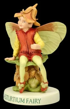 Elfen Figur - Kapuzinerkresse Fee 15 Elfen Figur - Kapuzinerkresse Fee -FIGUREN Verkäufe 2D FS26590 Elfen Figur Kresse Fee 7 1280x1280