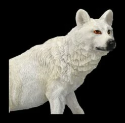 Wolf Figur Weiß - Der Beobachter -FIGUREN Verkäufe 2D FS26636 Wolf Figur weiss der Beobachter 2 1280x1280