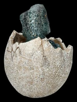 Dinosaurier Figur Schlüpft Aus Ei - Raptors Birth -FIGUREN Verkäufe 2D FS26717 Dinosaurier Figur schlupft aus Ei Raptors Birth 4 1280x1280