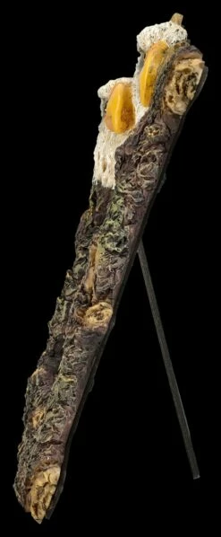 Bilderrahmen Adler - Weißkopfseeadler 13 Bilderrahmen Adler - Weißkopfseeadler -FIGUREN Verkäufe 2D FS26751 Bilderrahmen Adler Weisskopfseeadler 2b32CvL68xdFe7 1280x1280