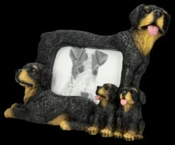 Bilderrahmen - Hunde Familie 12 Bilderrahmen - Hunde Familie -FIGUREN Verkäufe 2D FS26756 Bilderrahmen Hunde FAmilie 4 1280x1280
