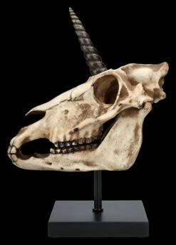 Einhorn Totenkopf Auf Ständer