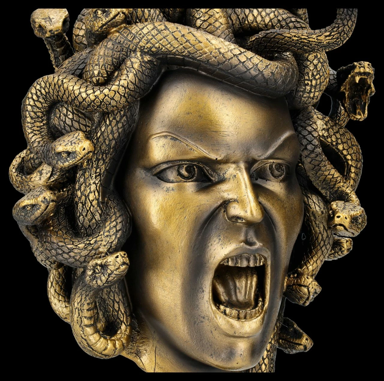 Kopf Der Medusa Auf Ständer 9 Kopf Der Medusa Auf Ständer – Bild 7