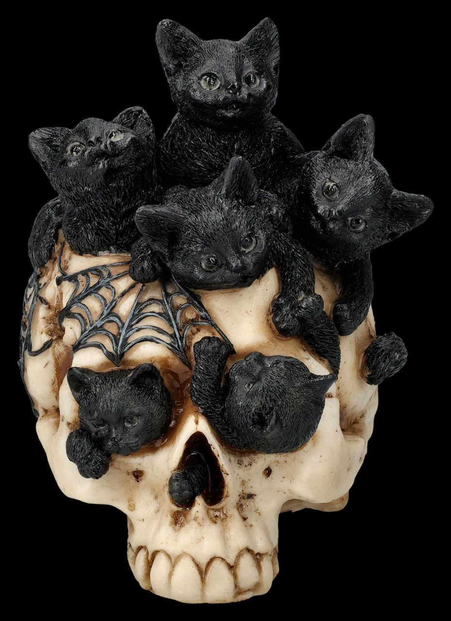 Totenkopf Mit Katzenbabys - Cranial Litter 3 Totenkopf Mit Katzenbabys - Cranial Litter