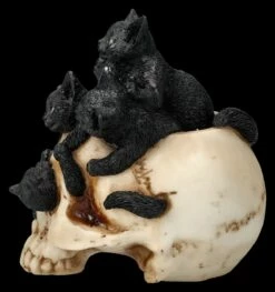 Totenkopf Mit Katzenbabys - Cranial Litter 13 Totenkopf Mit Katzenbabys - Cranial Litter -FIGUREN Verkäufe 2D FS26846 Totenkopf mit Katzenbabys Cranial Litter 2 1280x1280