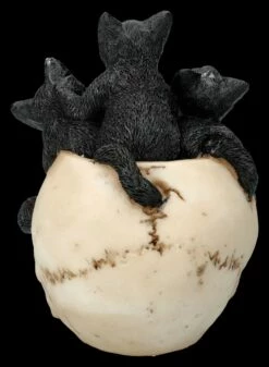 Totenkopf Mit Katzenbabys - Cranial Litter 14 Totenkopf Mit Katzenbabys - Cranial Litter -FIGUREN Verkäufe 2D FS26846 Totenkopf mit Katzenbabys Cranial Litter 3 1280x1280