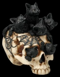 Totenkopf Mit Katzenbabys - Cranial Litter 12 Totenkopf Mit Katzenbabys - Cranial Litter -FIGUREN Verkäufe 2D FS26846 Totenkopf mit Katzenbabys Cranial Litter 5 1280x1280