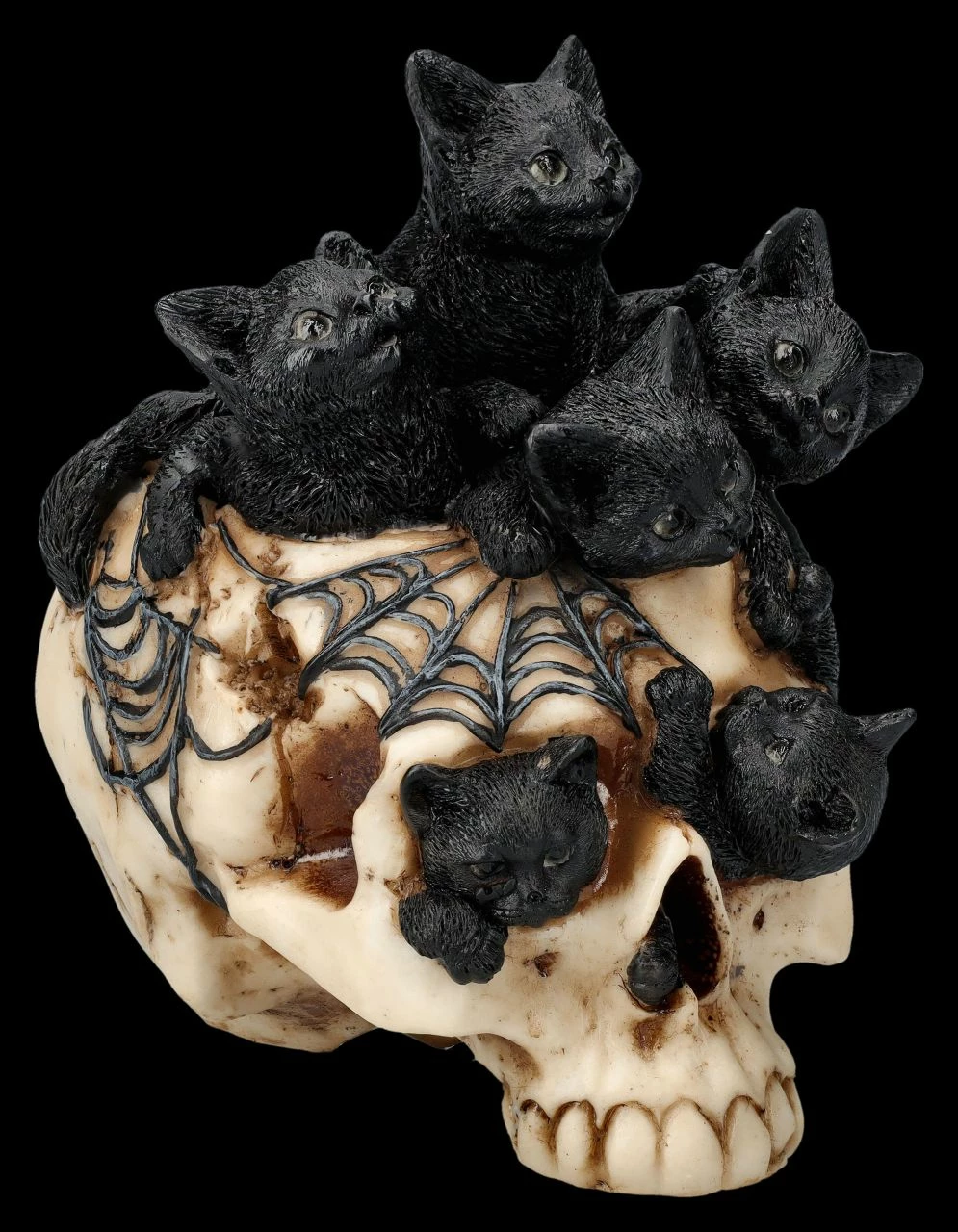 Totenkopf Mit Katzenbabys - Cranial Litter 5 Totenkopf Mit Katzenbabys - Cranial Litter – Bild 3