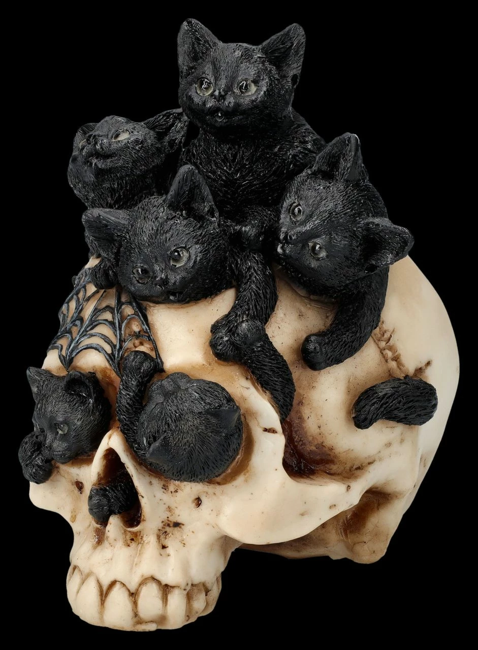 Totenkopf Mit Katzenbabys - Cranial Litter 4 Totenkopf Mit Katzenbabys - Cranial Litter – Bild 2