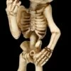 Skelett Figur Zeigt Mittelfinger 1 Skelett Figur Zeigt Mittelfinger -FIGUREN Verkäufe 2D FS26870 Skelett Figur zeigt Mittelfinger 6 1280x1280