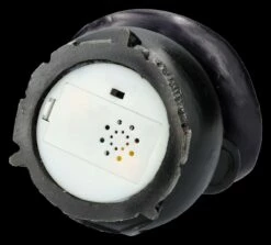 Hexenkatzen Figur Im Kessel - Peek-a-Brew -FIGUREN Verkäufe 2D FS26878 Hexenkatzen Figur un Kessel Peck a Brew 12 1280x1280