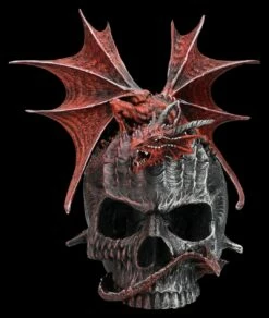 Spiral Drache & Totenkopf Schatulle - Serpent Infection