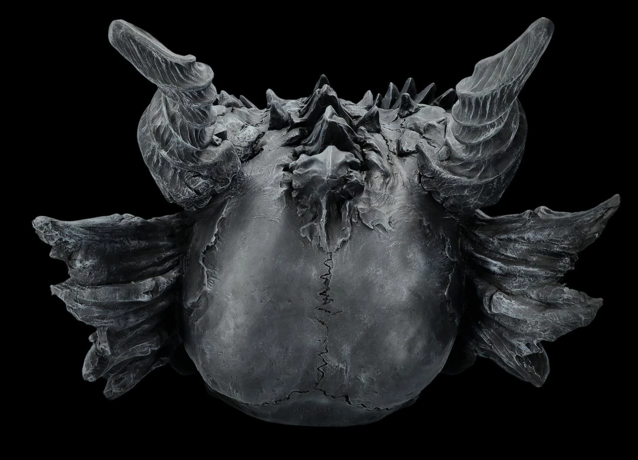 Riesen Drachenschädel Schwarz 7 Riesen Drachenschädel Schwarz – Bild 5