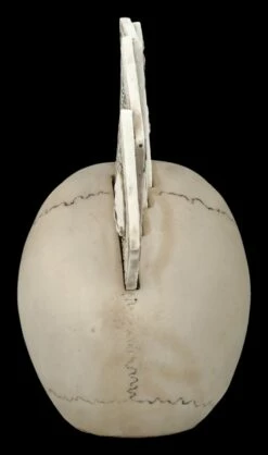 Totenkopf Figur - Pokerkarten - Four Of A Kind -FIGUREN Verkäufe 2D FS27047 Totenkopf Figur Pokerkarten Four of a Kind 3 1280x1280