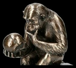 Affe Mit Schädel - Hugo Rheinhold -FIGUREN Verkäufe 2D KS3216 Affe mit Schaedel Hugo Rheinhold 2 1280x1280