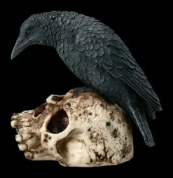 Raben Figur Sitzt Auf Totenkopf -FIGUREN Verkäufe 2D ML10218 Ersatzfotos AMI 9786 6 1280x1280