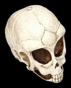Alien Totenkopf -FIGUREN Verkäufe 2D ML10526 Ersatzbilder 8 1280x1280