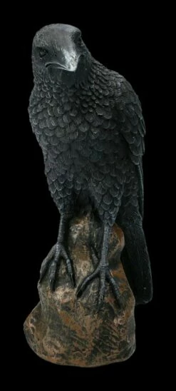 Schwarzer Rabe - Figur -FIGUREN Verkäufe 2D ML6841 Ersatzfotos NEM2775 5 1280x1280