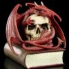Drache Auf Buch Schatulle By Anne Stokes 2 Drache Auf Buch Schatulle By Anne Stokes -FIGUREN Verkäufe 3759 0 stokes drache 1280x1280