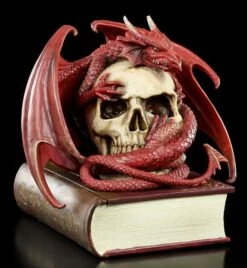 Drache Auf Buch Schatulle By Anne Stokes