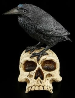 Raben Figur Sitzt Auf Totenschädel -FIGUREN Verkäufe 6384 0 crow skull 1280x1280